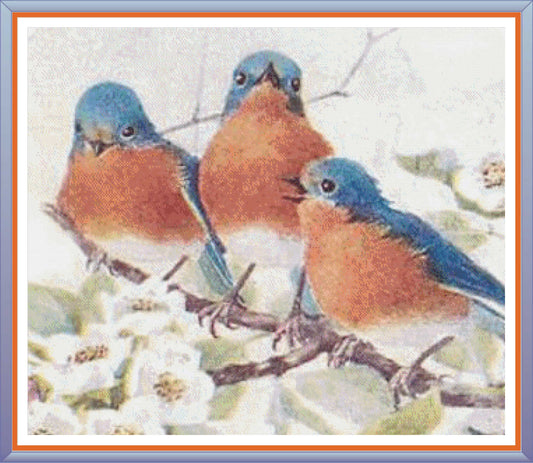 Robin Trio PDF Cross Stitch Chart - Pattern Keeper Compatible*
