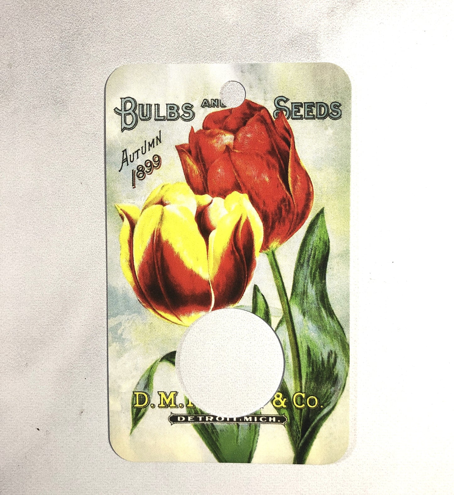 Tulip Thread Drops - Pack of 25