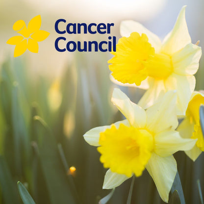Yellow daffodils with Cancer Council logo in the background