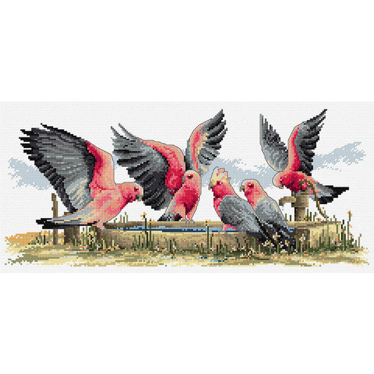 Galahs By The Water Pump by Country Threads
