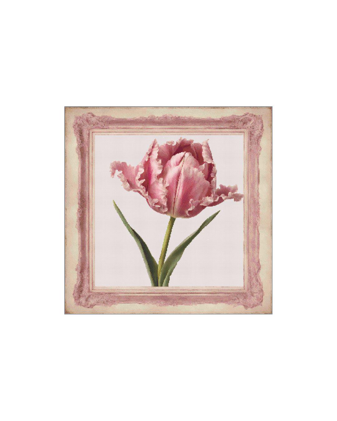 Frilled Tulip PDF Cross Stitch Chart - Pattern Keeper Compatible*