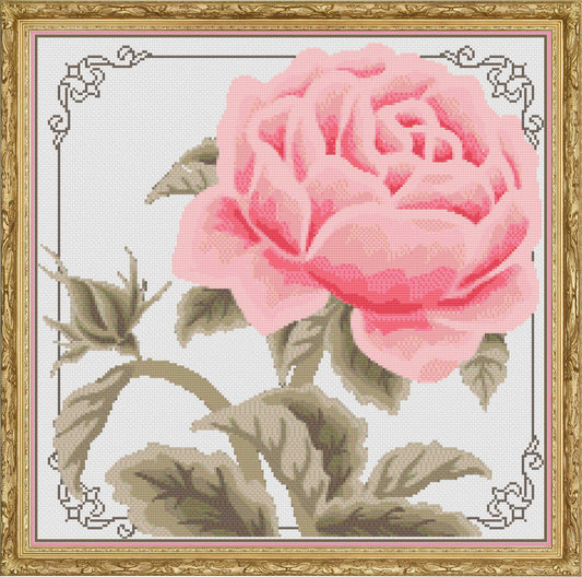 Blushing Rose PDF Cross Stitch Chart