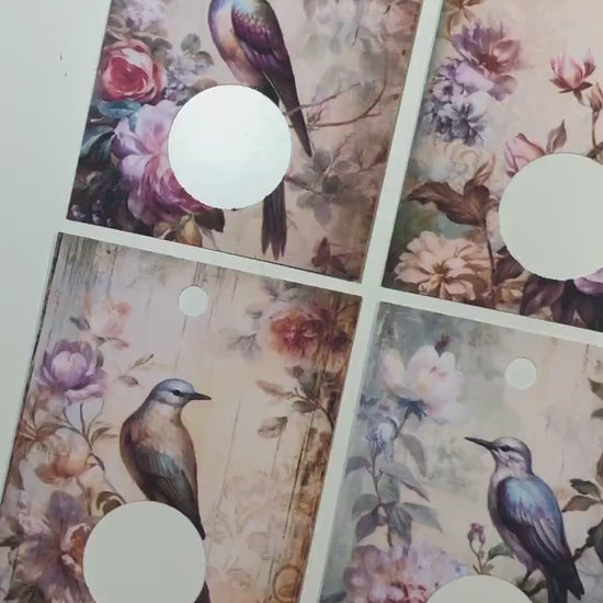 Birds and Florals Floss  Drops - Pack of 24