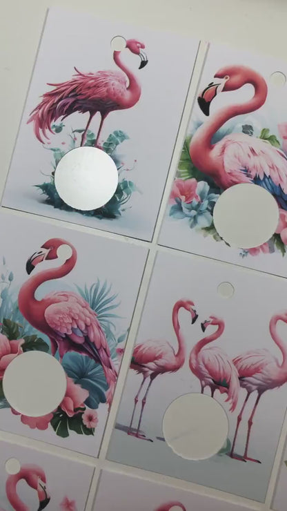 Flamingo Floss  Drops - Pack of 24
