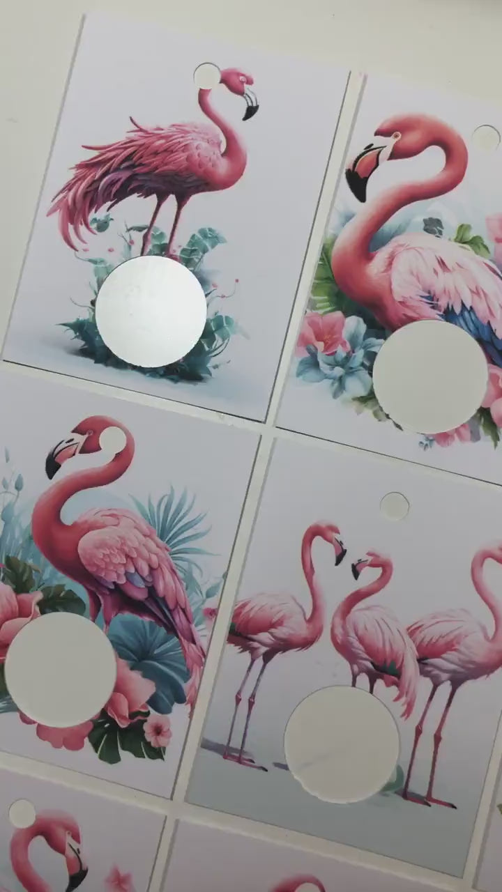 Flamingo Floss  Drops - Pack of 24