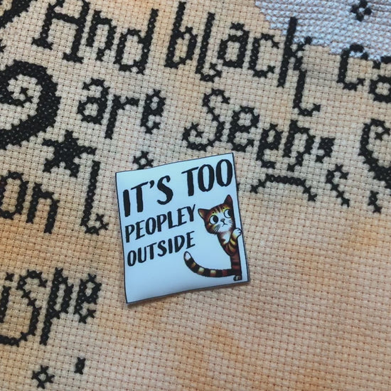 Funny cat saying magnetic needle minder.