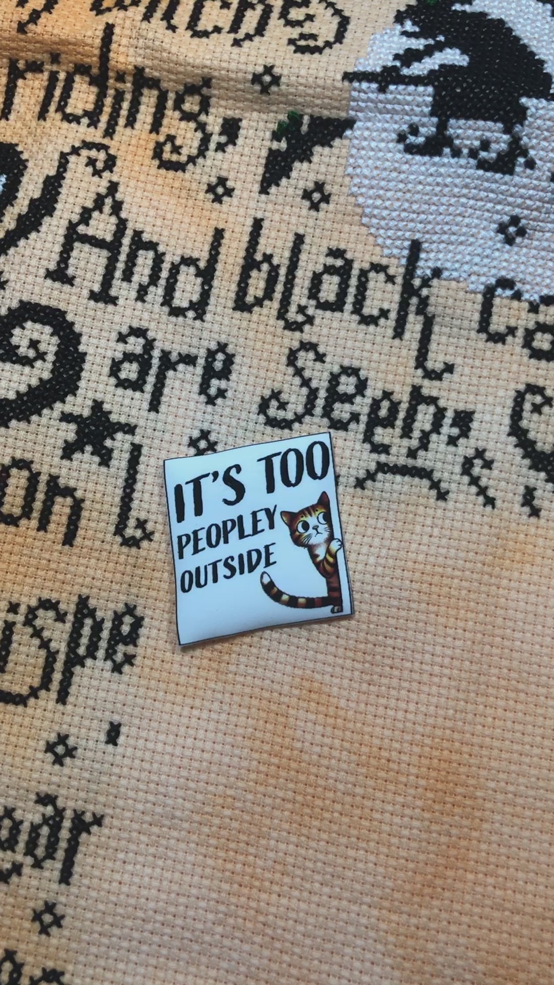 Funny cat saying magnetic needle minder.